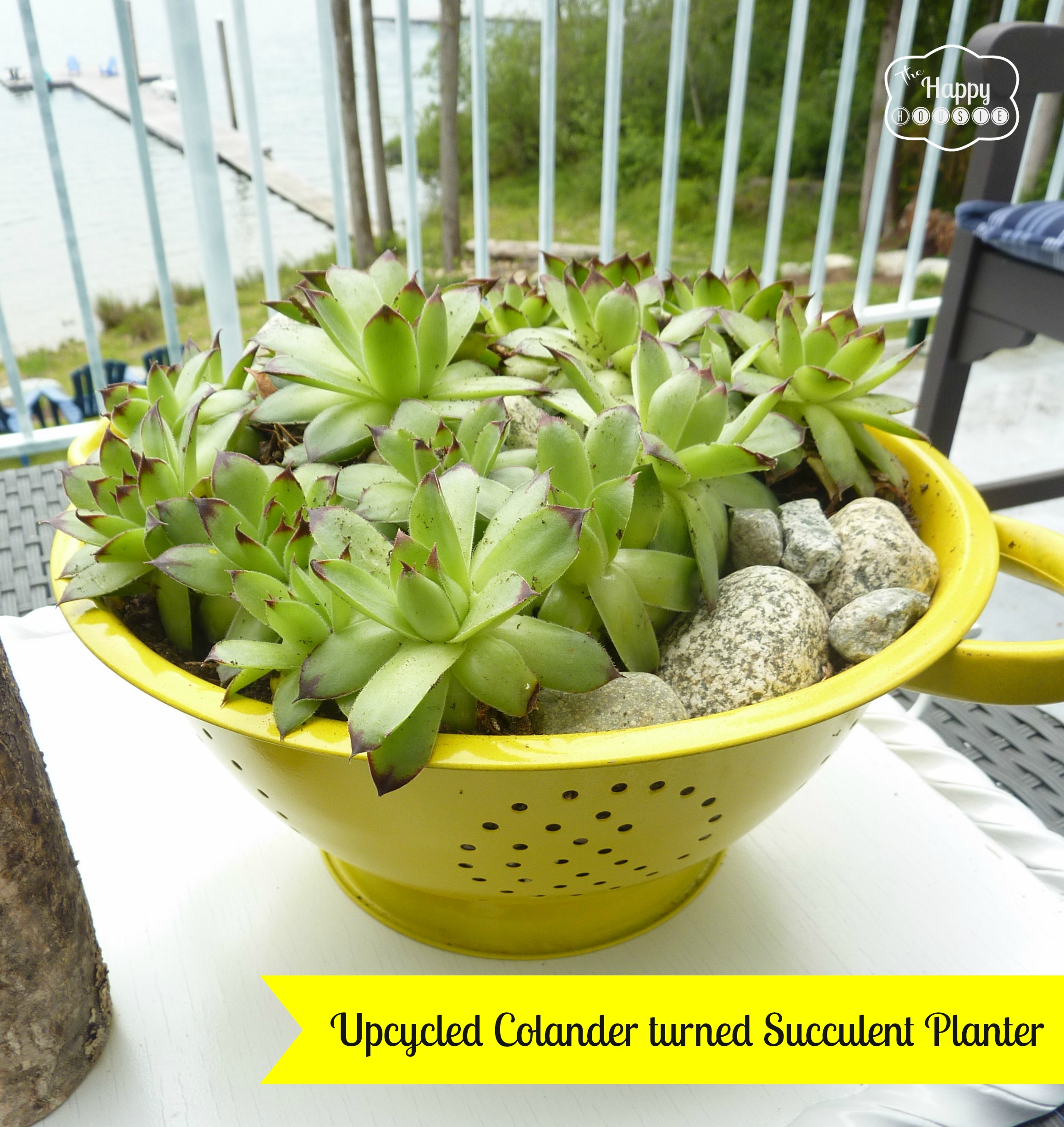 Deck it Out!: Upcycle a Colander as a Planter for Succulents