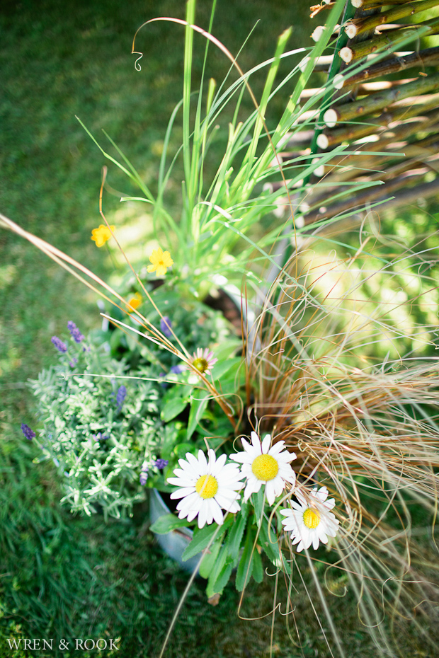 Flowers in a galvanized container, with daisies, and ornamental grasses.