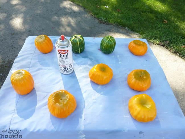 Spraying the pumpkins with Krylon outside on a table.