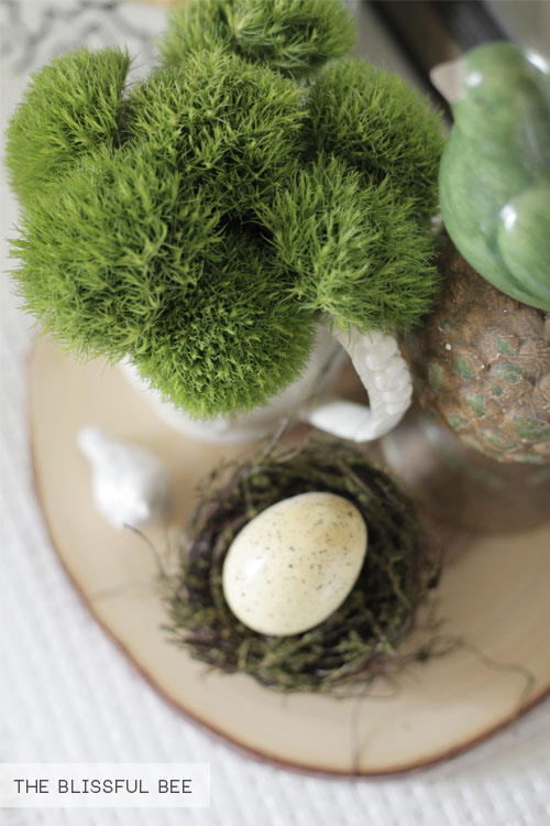 A vignette of moss and a small nest egg.