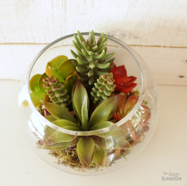 The jar with the succulents inside it.