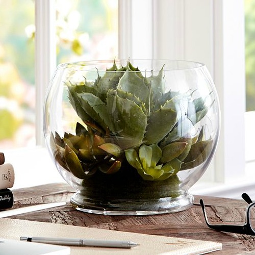 Pottery barn succulent arrangement in glass container.