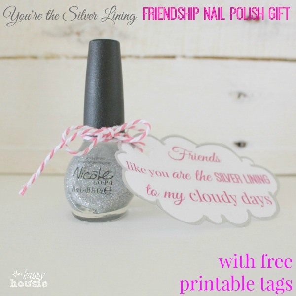 “You’re the Silver Lining” Friendship Nail Polish Gift {& 101+ Friend Birthday Gift Ideas!!}