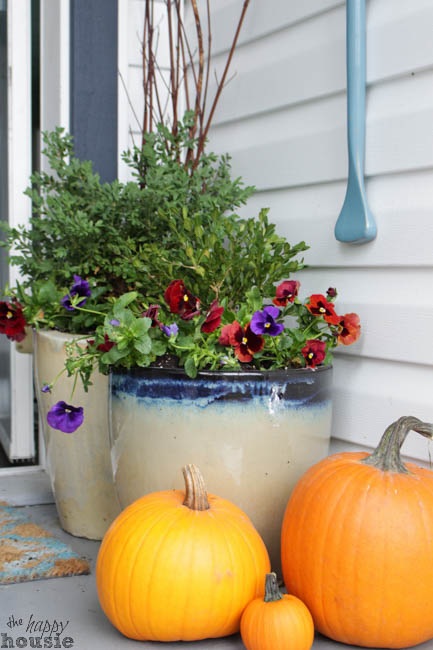 Planters of flowers in pots on the porch beside pumpkins.