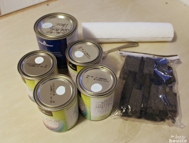 Benjamin Moore paint cans, brushes and a paint roller laid out for testing.