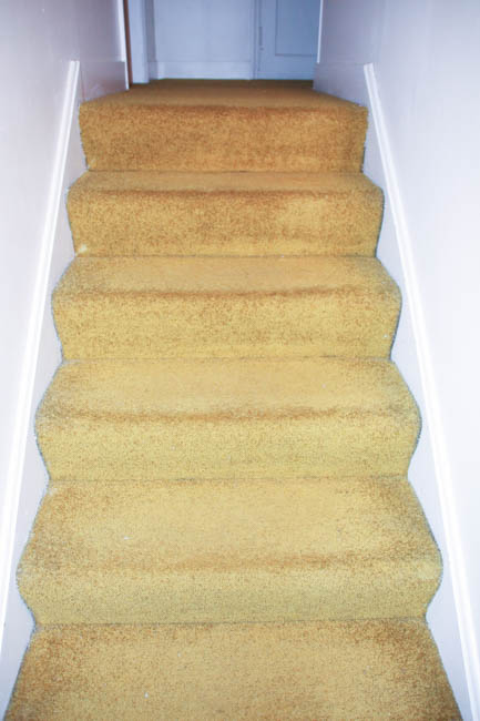 Gold worn carpet on the stairs.