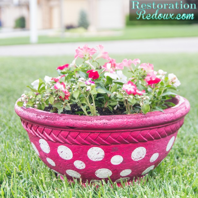 A pink and white polka dotted flower pot.