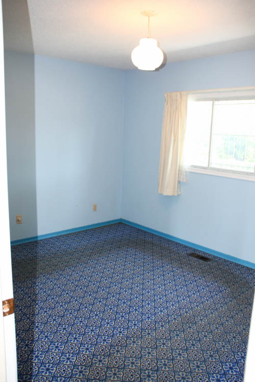 A room painted blue with blue patterned carpet.