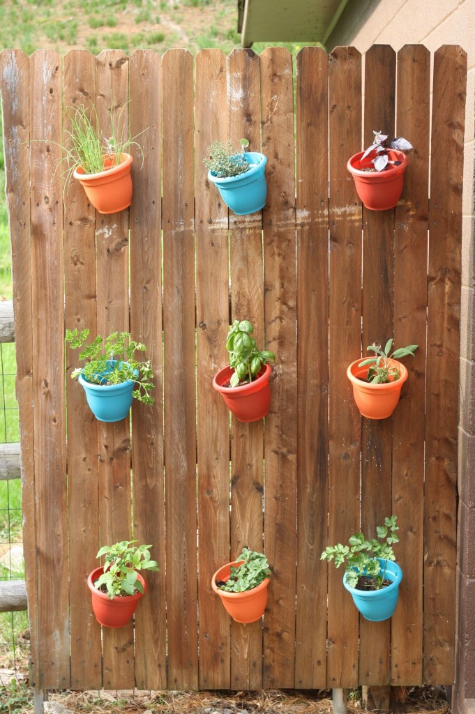 A herb garden hanging on the fence.