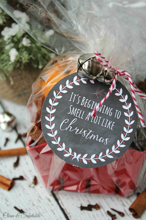 Christmas potpourri in a gift bag with a tag.