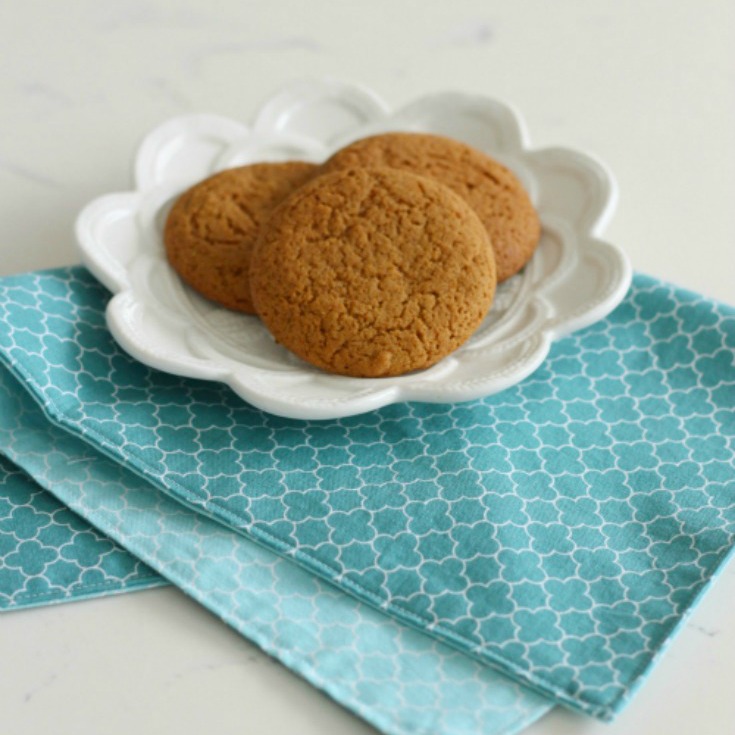 DIY Double-Sided Cloth Napkin Tutorial {& Best Ever Ginger Cookie Recipe}