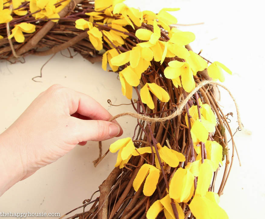 Fluffing up the forsythia yellow blossoms on the wreath.