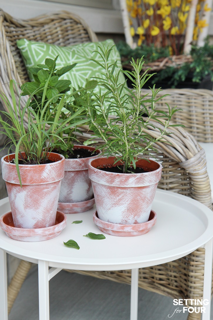 DIY White Washed Terracotta Pots - how to age Terracotta Pots