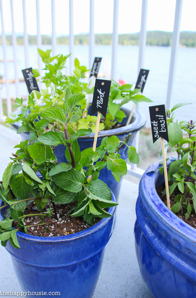 Plant your very own kitchen herb garden in pots so you can have fresh herbs at your fingertips all summer long-12