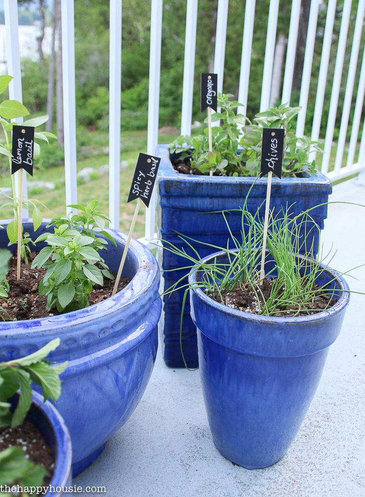 The small herb garden on the outdoor back deck.