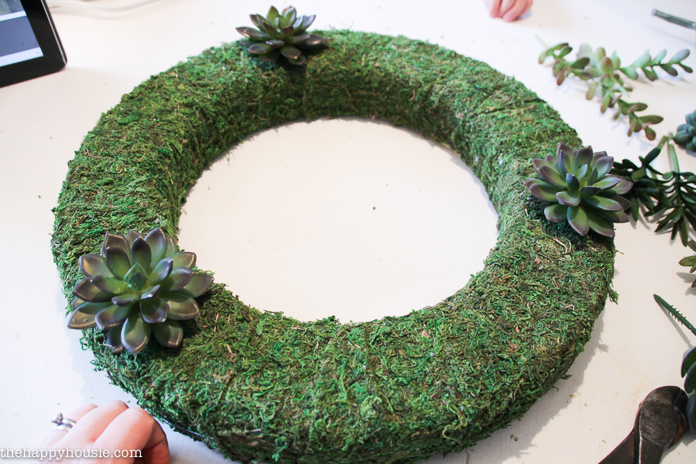 Putting the succulents onto the wreath.
