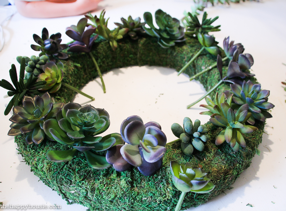 Filling the wreath up with the succulents.