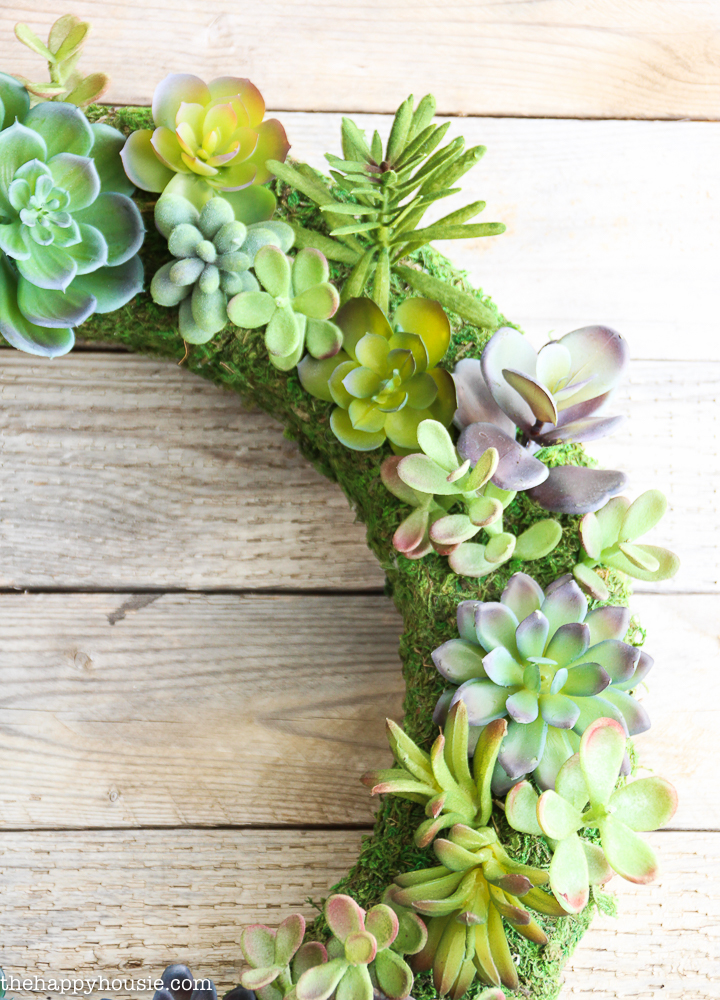 Purple and green succulents on the wreath.