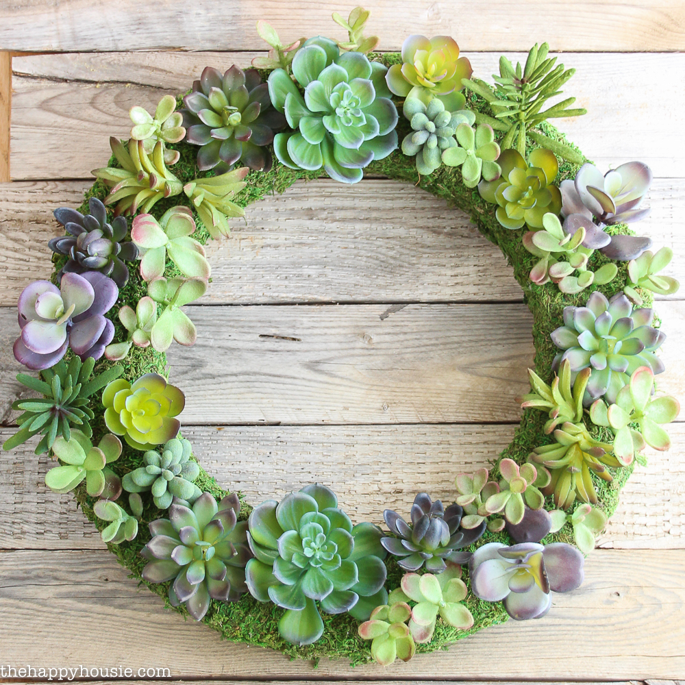 A moss and succulent wreath on a wooden door.