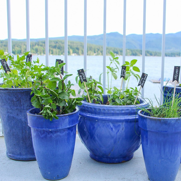 A small herb garden on the deck in blue pots.