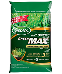 turf builder green max