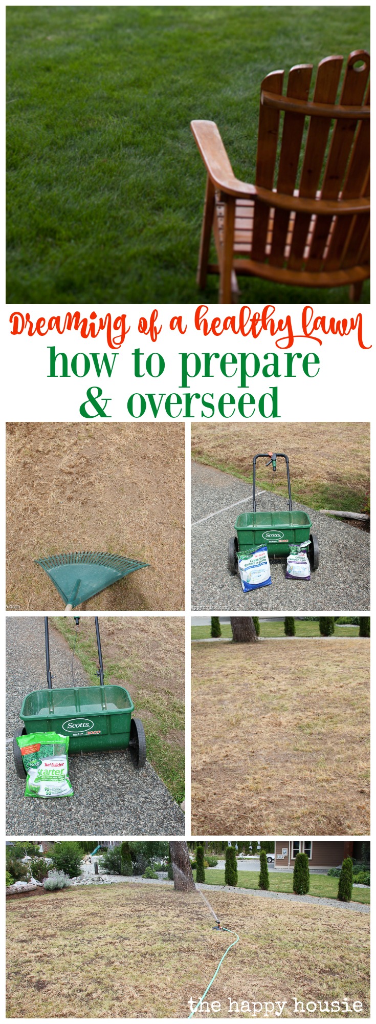 Dreaming of a healthy lawn how to prepare and overseed at the happy housie