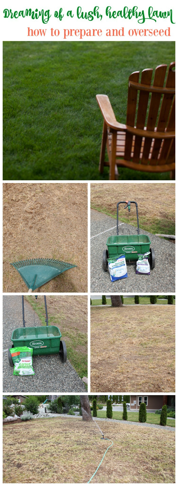 A green lawn, with a wooden chair, a rake, seeds and watering.