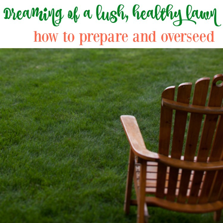 How to Prepare and Overseed Your Lawn