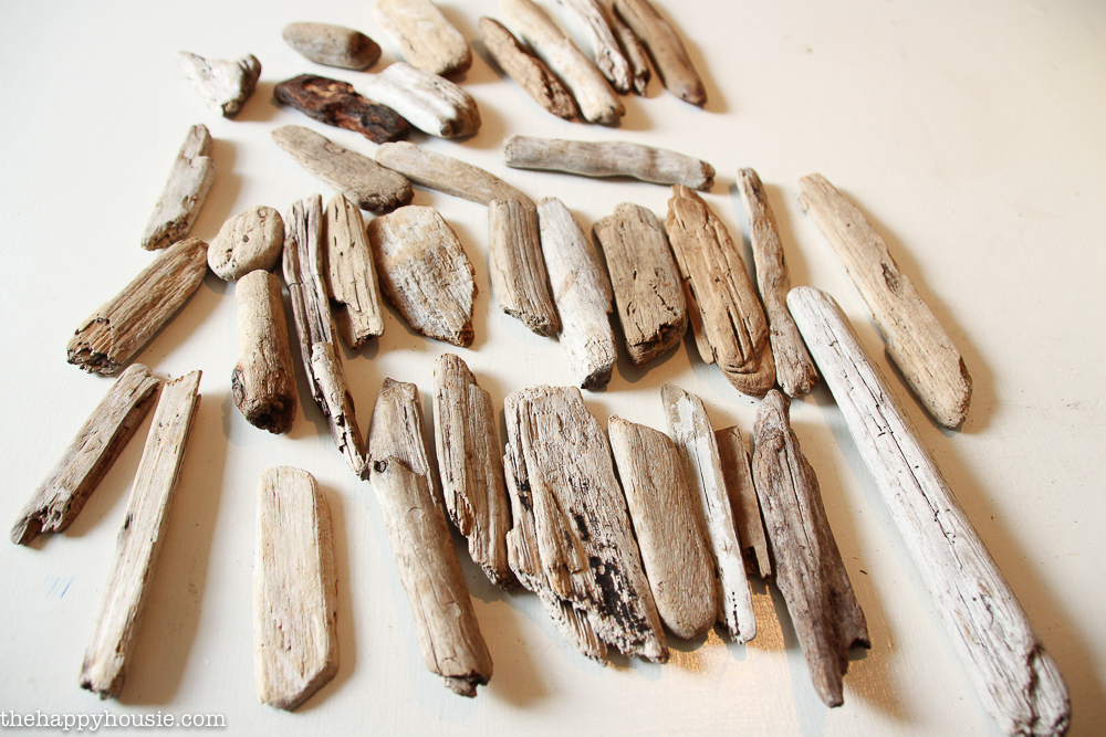 All the driftwood laid out according to size.