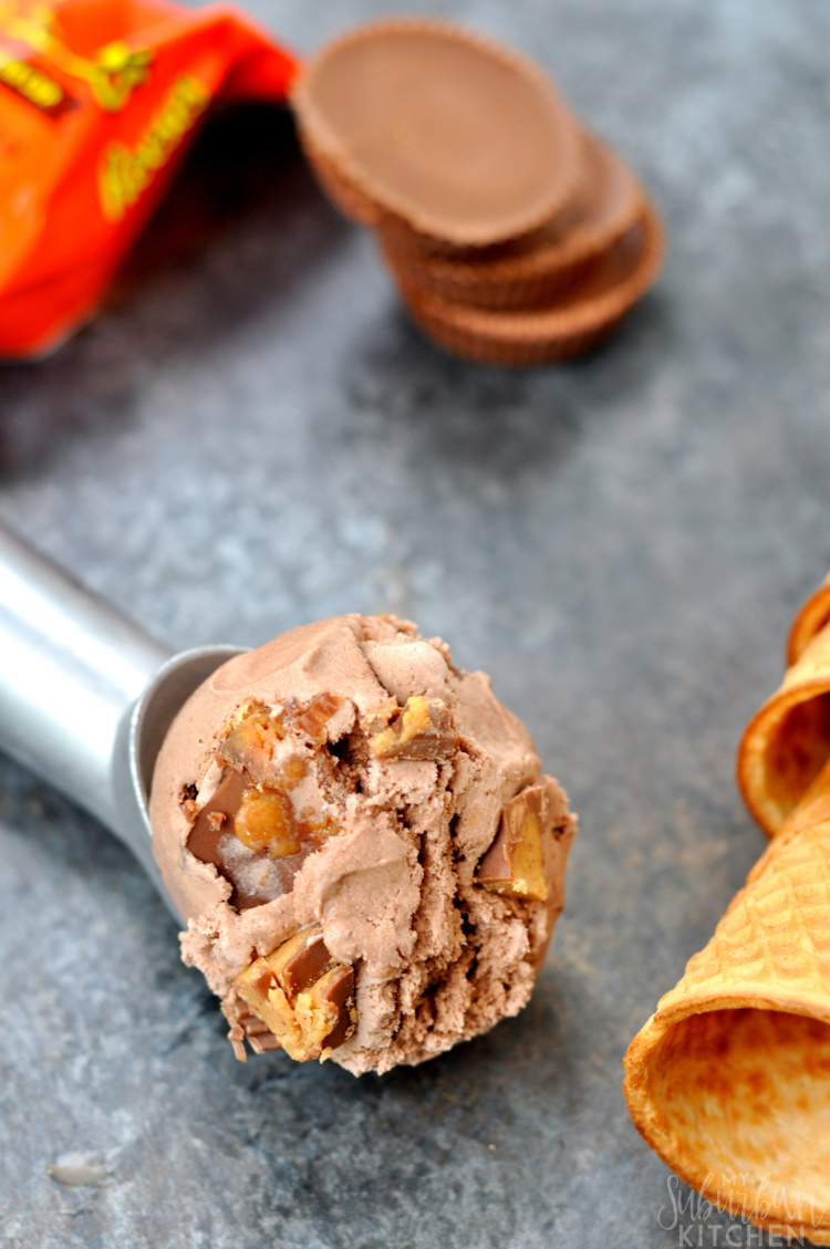 Sweet Summer Treats no-churn-peanut-butter-chocolate-ice-cream-11