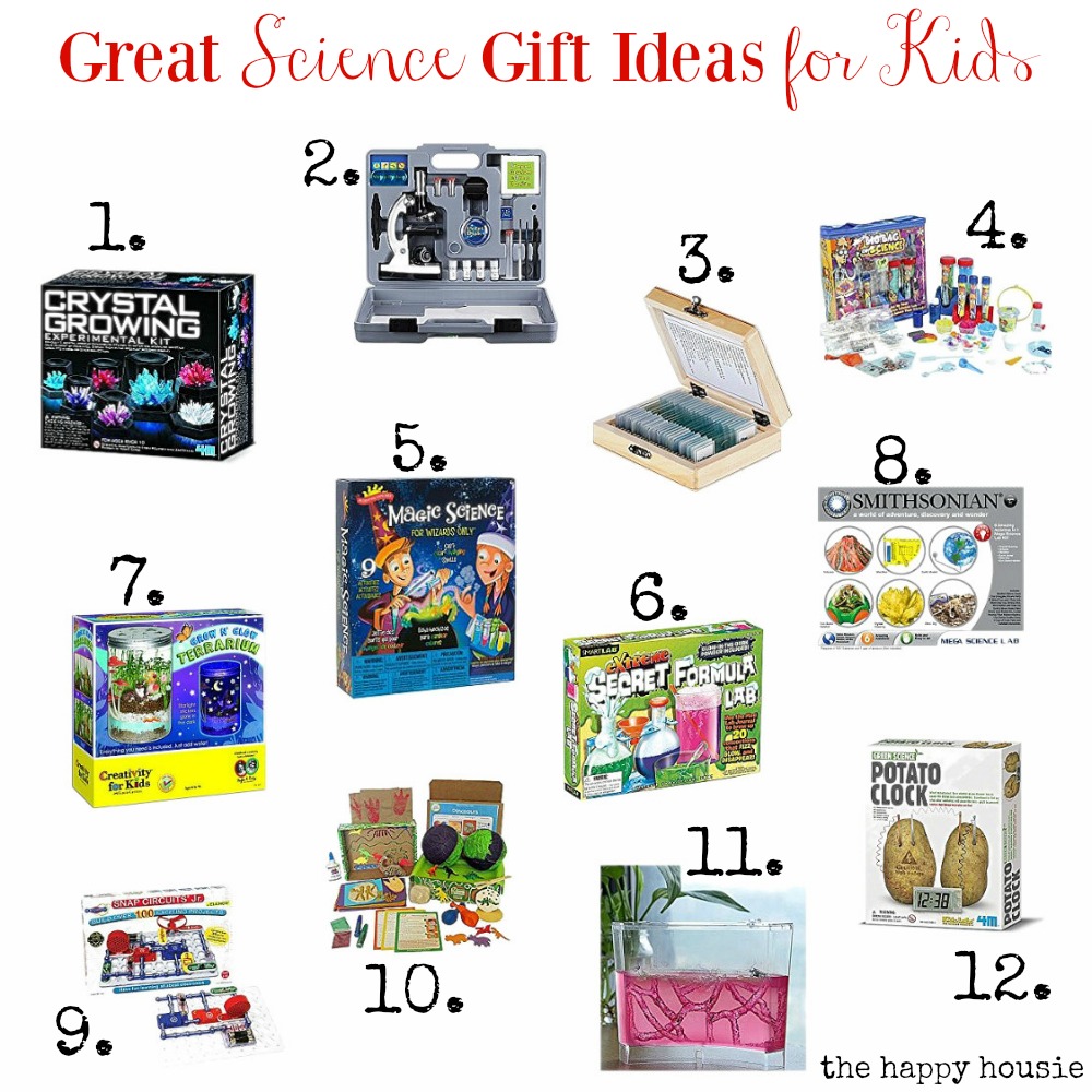 great-science-gift-ideas-for-kids-fun-and-educational-gift-ideas-at-the-happy-housie