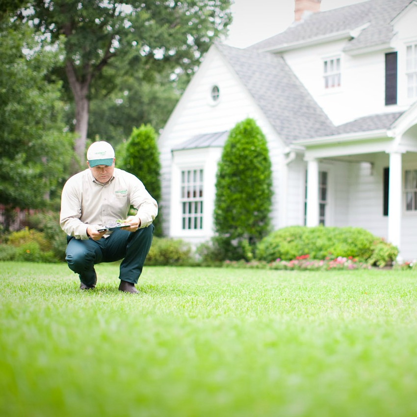 How to Prepare Your Lawn for Winter: Fall Lawn Care Tips