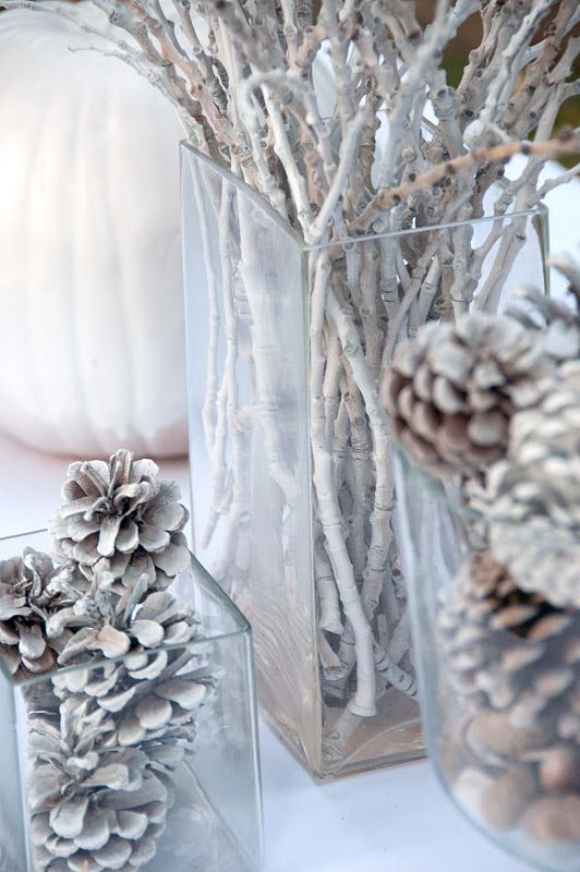 Clear glass vases with pine cones and branches on the table.