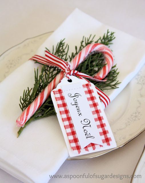 Christmas tag with candy cane and a sprig of evergreen.