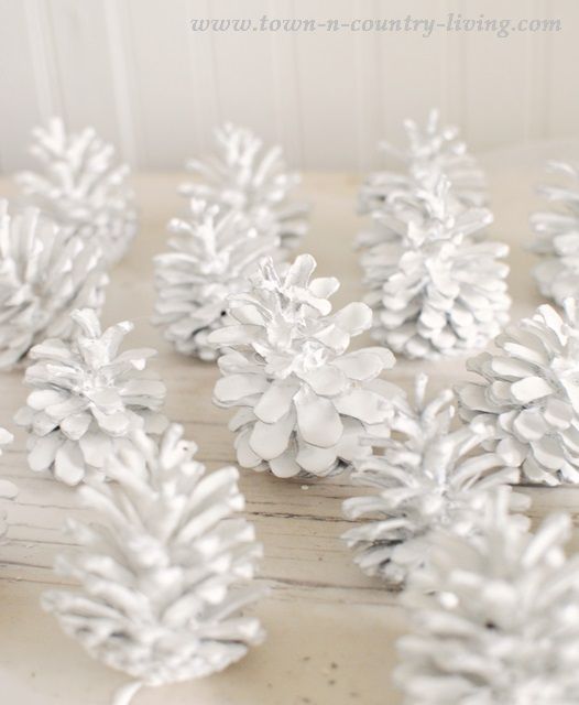 White pine cones on a table.