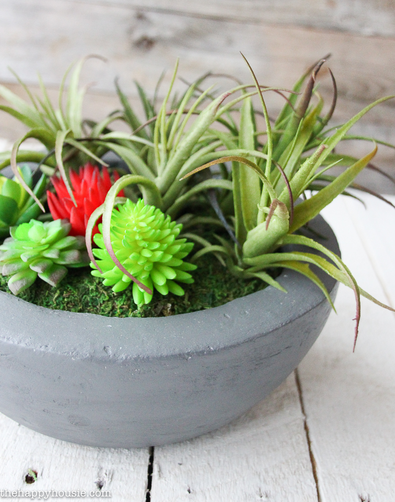 DIY Faux Concrete Succulent Planter Bowl tutorial at the happy housie-19