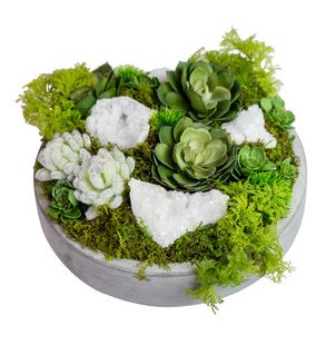 TC-Floral-Company-Succulents-in-Concrete-Bowl