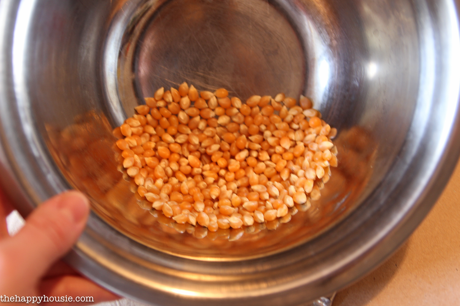 Popcorn seeds in a steel bowl.