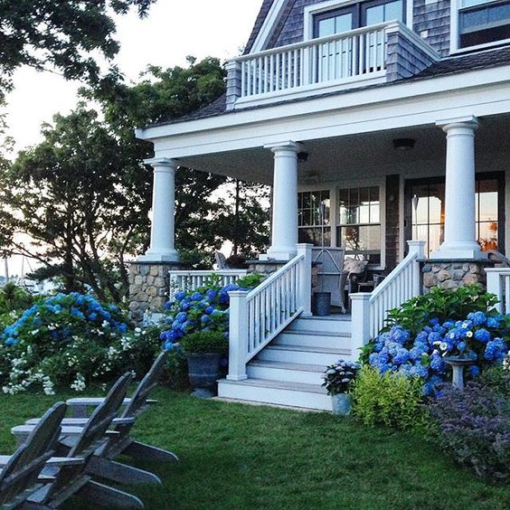 Large white columns are at the front of this bluish house surrounded by hydrangea bushes.
