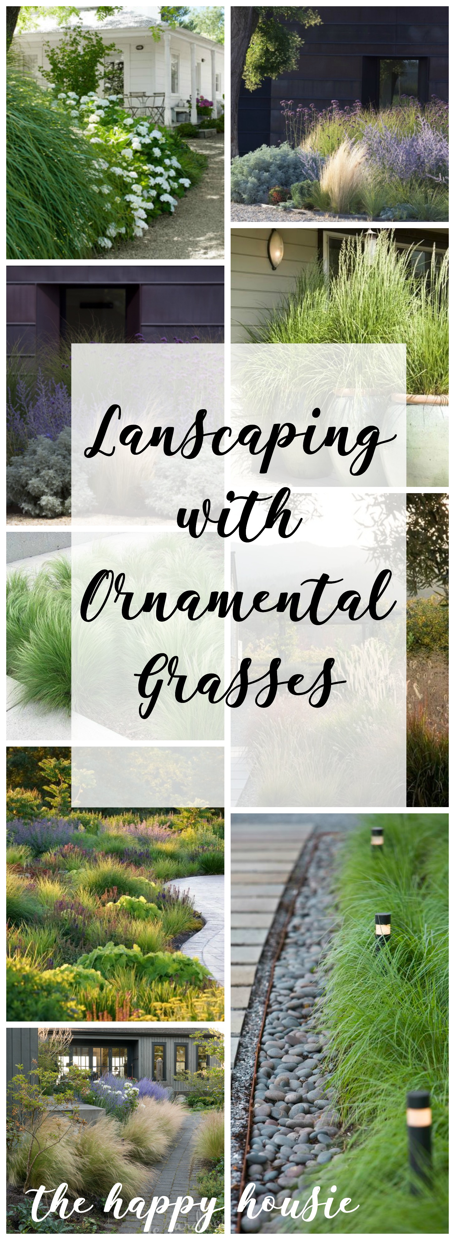 Landscaping with ornamental grasses graphic.