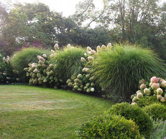 Landscaping With Ornamental Grasses, How To Use Ornamental Grasses In Landscape