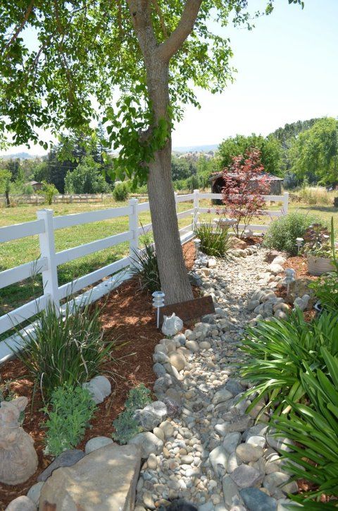 A dry rock garden with a tree beside it and mulch underneath.