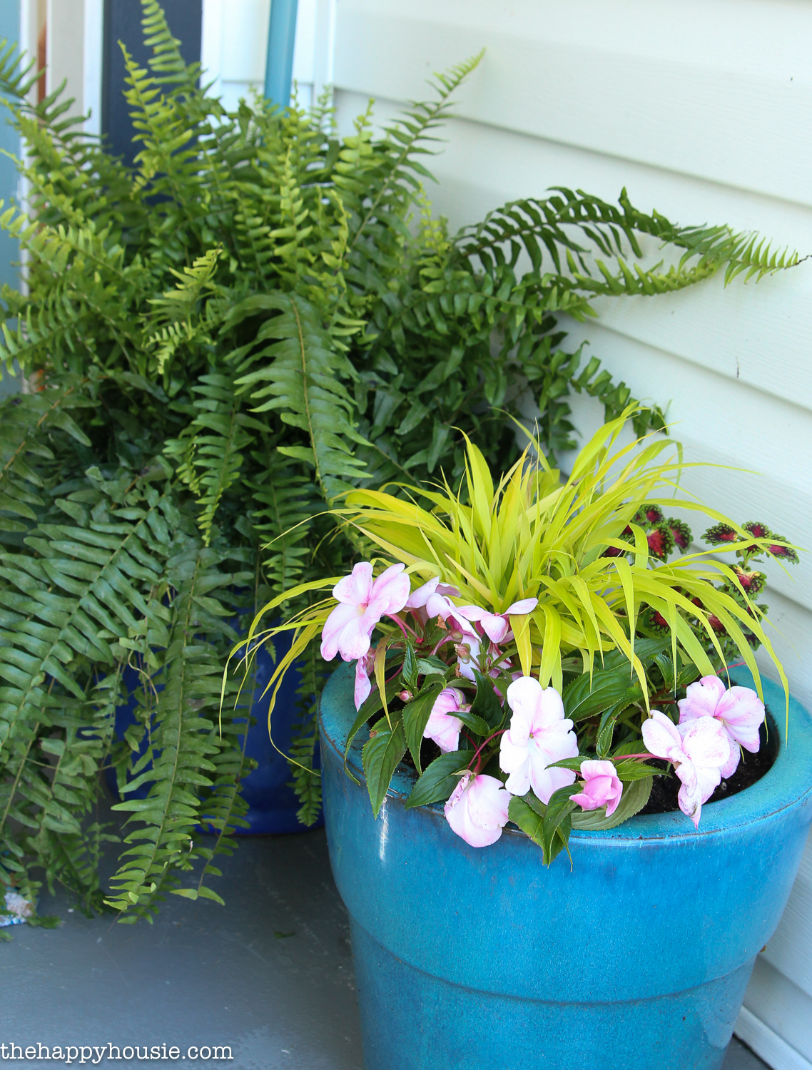 A large fern is in the corner of the porch.
