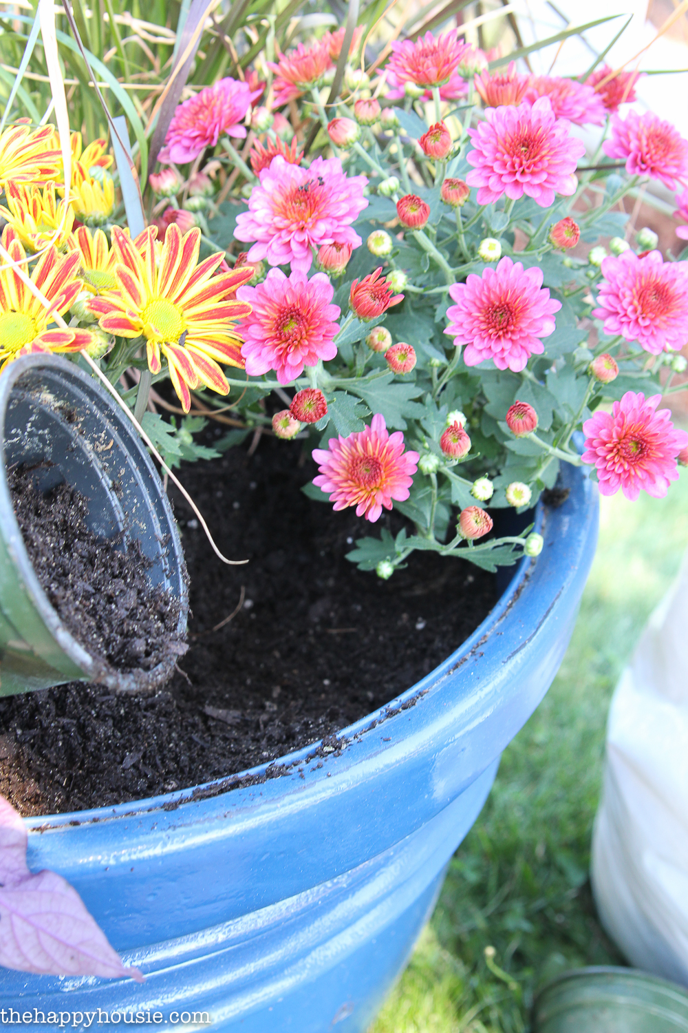 Adding extra soil to the planter.