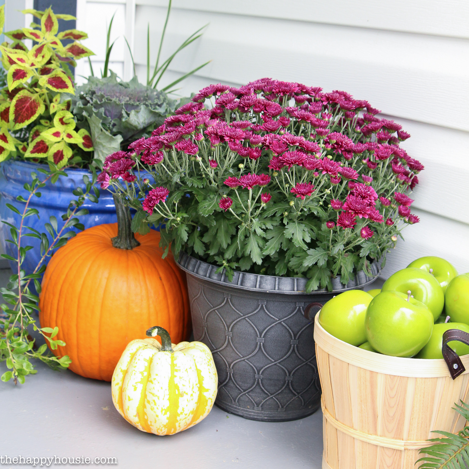 Vibrant purple flowers are in a pot beside a basket of apples.