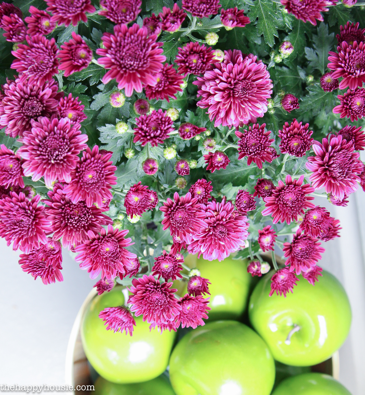 Green apples are underneath the purple flowers.