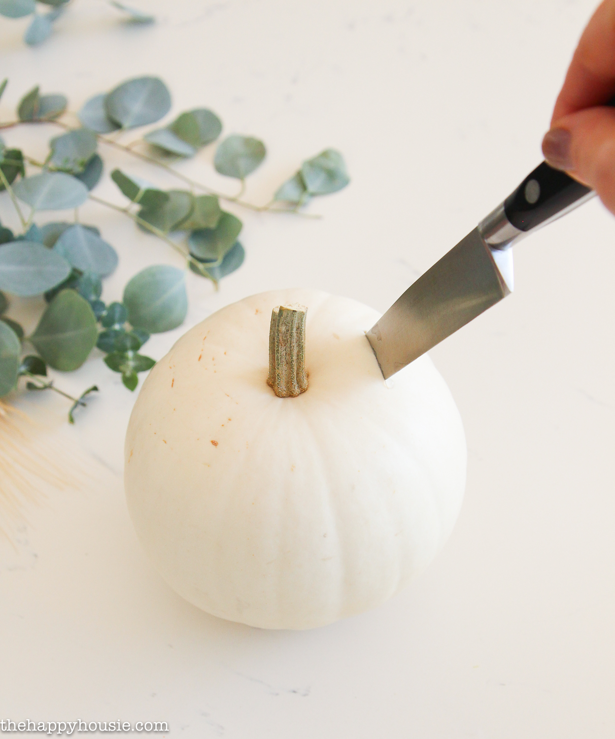 A knife in a white pumpkin cutting out the top.
