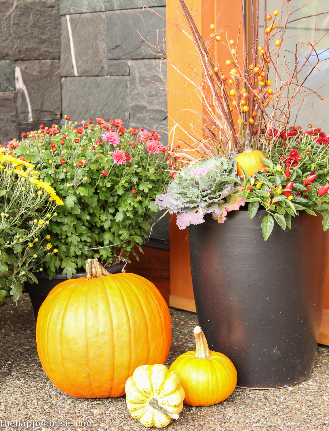 Large planters filled with red and purple flowers, and kale, with pumpkins in front of them.