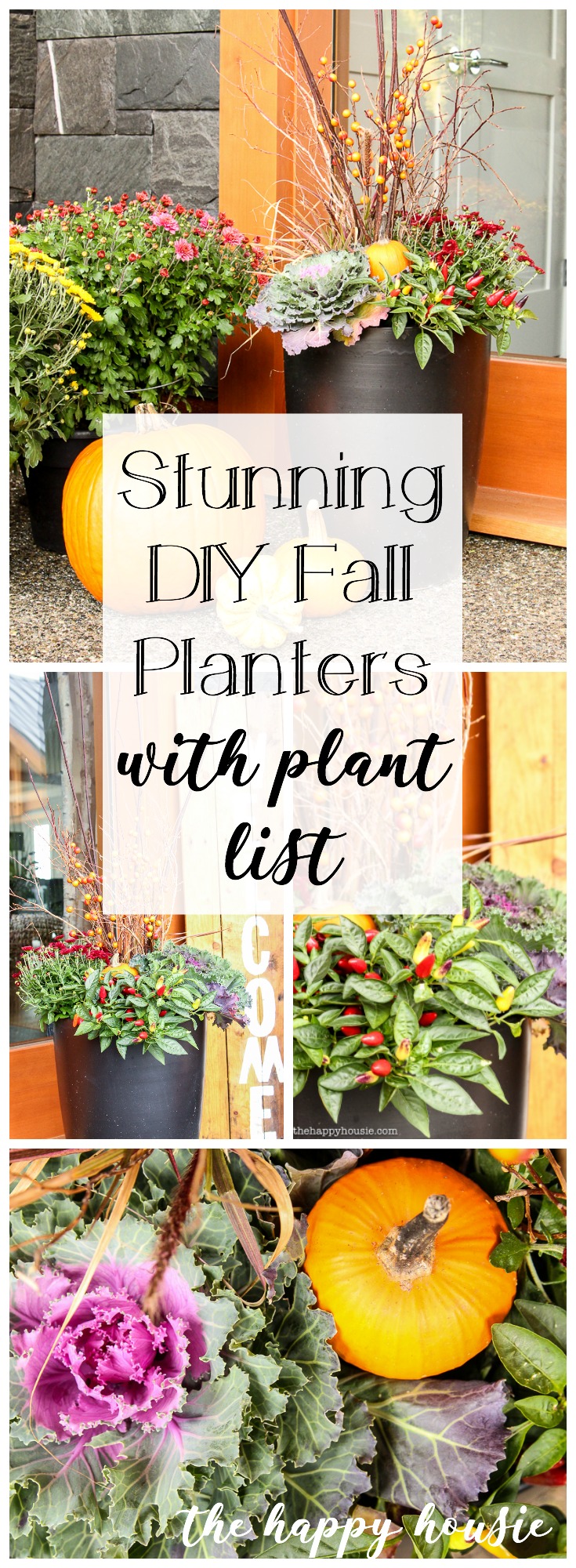 Stunning DIY Fall Planters with plant list graphic.