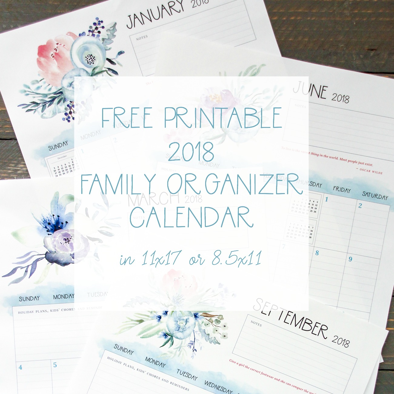 Free Printable 2018 Family Organizer Calendar